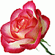   NECLESS OF THE FLOWERS